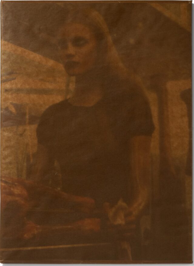 Le Boucher, 2011